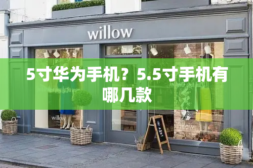 5寸华为手机？5.5寸手机有哪几款-第1张图片-星选测评