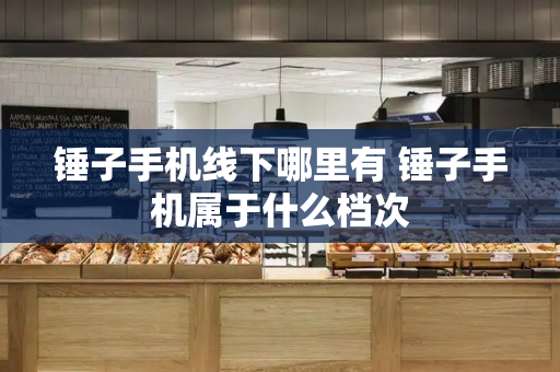 锤子手机线下哪里有 锤子手机属于什么档次-第1张图片-星选测评
