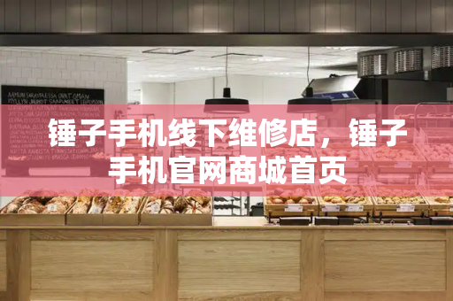 锤子手机线下维修店，锤子手机官网商城首页-第1张图片-星选测评