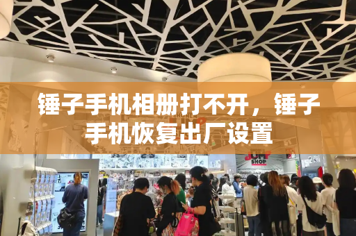 锤子手机相册打不开，锤子手机恢复出厂设置