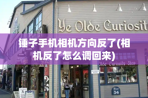 锤子手机相机方向反了(相机反了怎么调回来)-第1张图片-星选测评