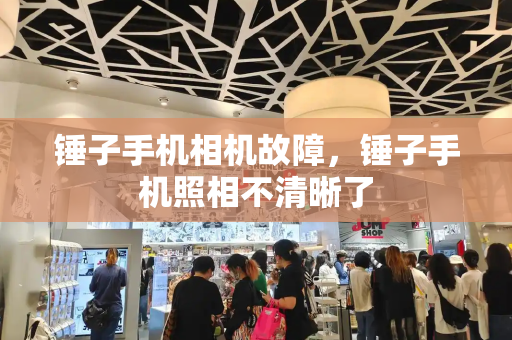 锤子手机相机故障，锤子手机照相不清晰了