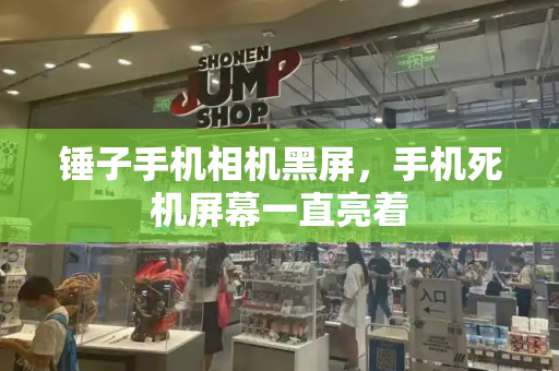 锤子手机相机黑屏，手机死机屏幕一直亮着