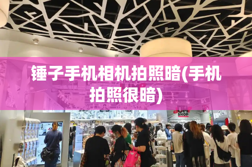 锤子手机相机拍照暗(手机拍照很暗)-第1张图片-星选测评