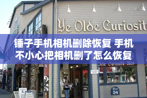 锤子手机相机删除恢复 手机不小心把相机删了怎么恢复-第1张图片-星选测评