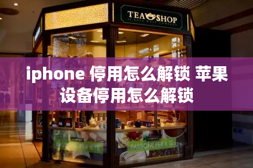 iphone 停用怎么解锁 苹果设备停用怎么解锁