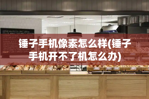 锤子手机像素怎么样(锤子手机开不了机怎么办)-第1张图片-星选测评