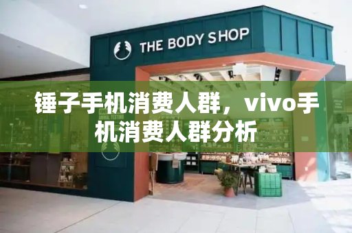 锤子手机消费人群，vivo手机消费人群分析