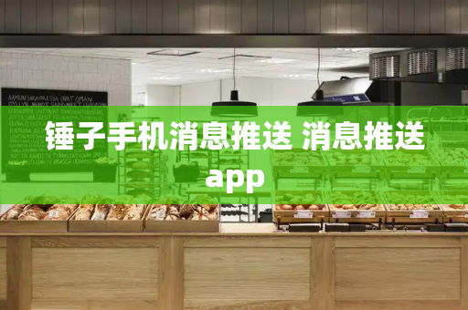 锤子手机消息推送 消息推送app