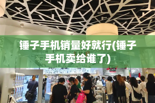 锤子手机销量好就行(锤子手机卖给谁了)-第1张图片-星选测评