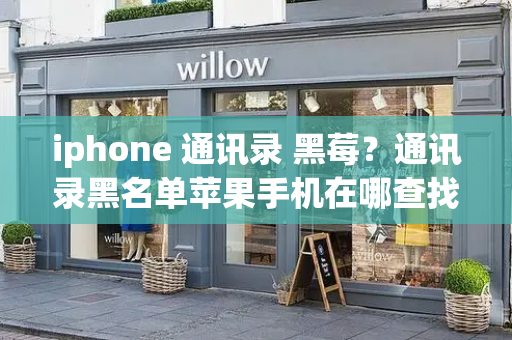 iphone 通讯录 黑莓？通讯录黑名单苹果手机在哪查找-第1张图片-星选测评
