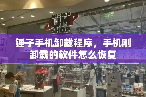锤子手机卸载程序，手机刚卸载的软件怎么恢复-第1张图片-星选测评