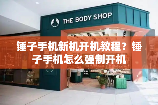 锤子手机新机开机教程？锤子手机怎么强制开机-第1张图片-星选测评