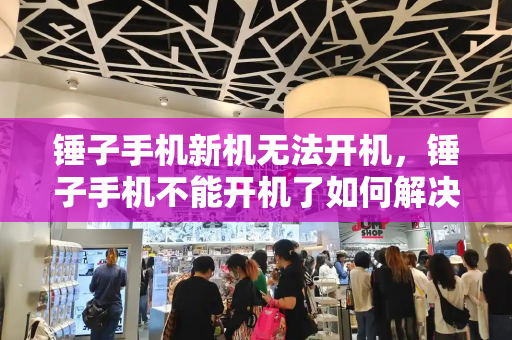 锤子手机新机无法开机，锤子手机不能开机了如何解决-第1张图片-星选测评