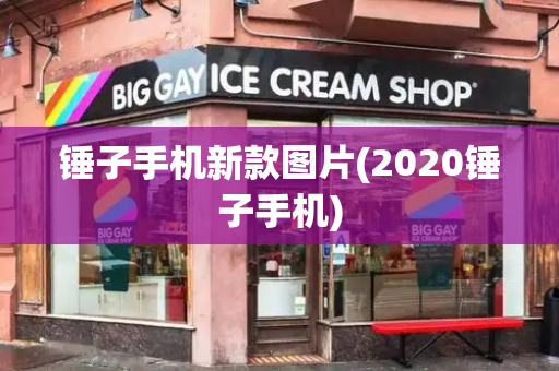 锤子手机新款图片(2020锤子手机)-第1张图片-星选测评