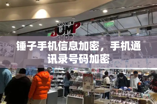 锤子手机信息加密，手机通讯录号码加密-第1张图片-星选测评