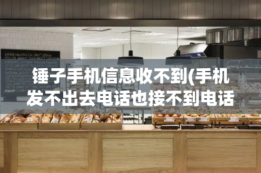 锤子手机信息收不到(手机发不出去电话也接不到电话)