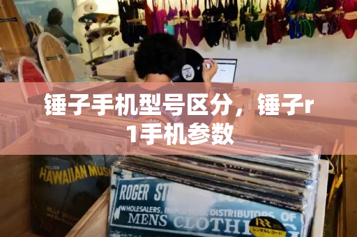 锤子手机型号区分，锤子r1手机参数-第1张图片-星选测评
