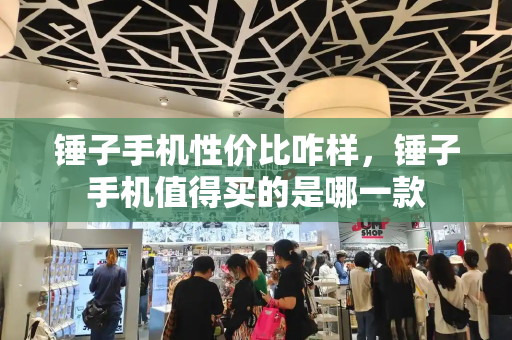 锤子手机性价比咋样，锤子手机值得买的是哪一款