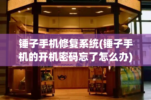 锤子手机修复系统(锤子手机的开机密码忘了怎么办)-第1张图片-星选测评