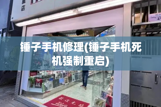 锤子手机修理(锤子手机死机强制重启)-第1张图片-星选测评