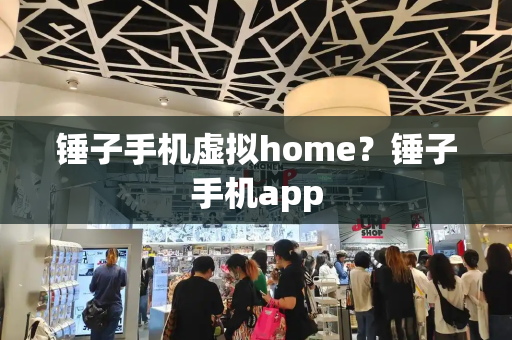 锤子手机虚拟home？锤子手机app-第1张图片-星选测评
