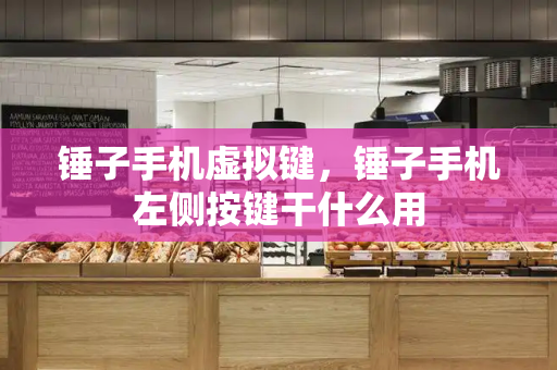锤子手机虚拟键，锤子手机左侧按键干什么用-第1张图片-星选测评