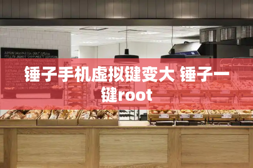 锤子手机虚拟键变大 锤子一键root-第1张图片-星选测评