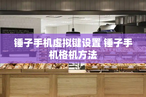 锤子手机虚拟键设置 锤子手机格机方法