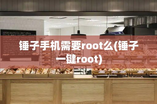锤子手机需要root么(锤子一键root)-第1张图片-星选测评