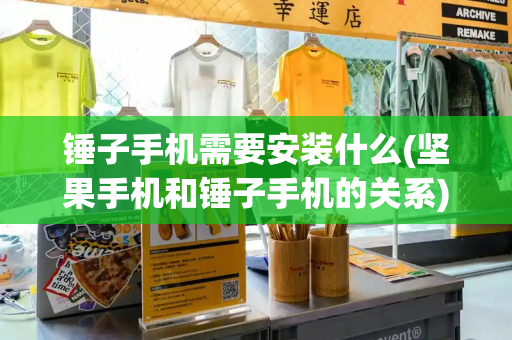 锤子手机需要安装什么(坚果手机和锤子手机的关系)-第1张图片-星选测评