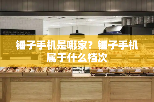 锤子手机是哪家？锤子手机属于什么档次