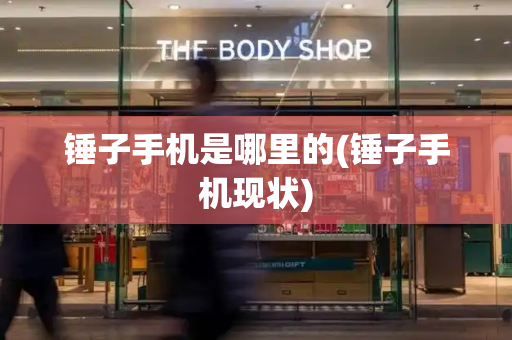 锤子手机是哪里的(锤子手机现状)