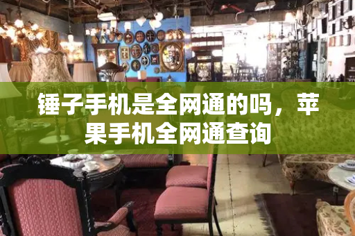 锤子手机是全网通的吗，苹果手机全网通查询