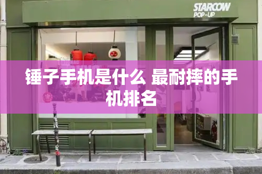 锤子手机是什么 最耐摔的手机排名-第1张图片-星选测评