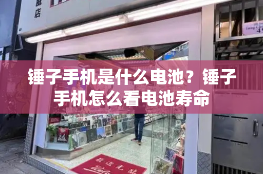 锤子手机是什么电池？锤子手机怎么看电池寿命-第1张图片-星选测评