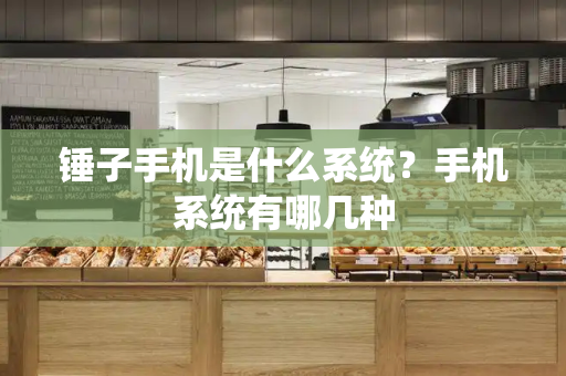 锤子手机是什么系统？手机系统有哪几种