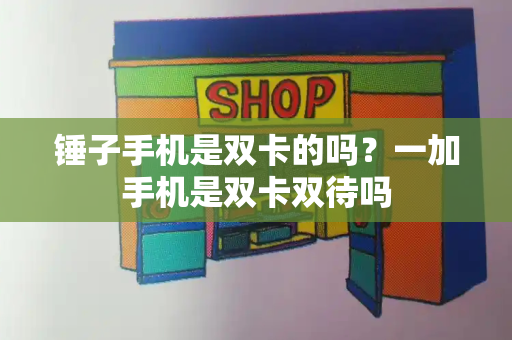锤子手机是双卡的吗？一加手机是双卡双待吗-第1张图片-星选测评