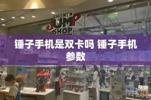 锤子手机是双卡吗 锤子手机参数-第1张图片-星选测评