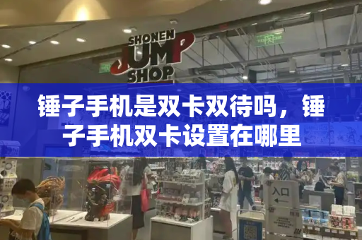 锤子手机是双卡双待吗，锤子手机双卡设置在哪里