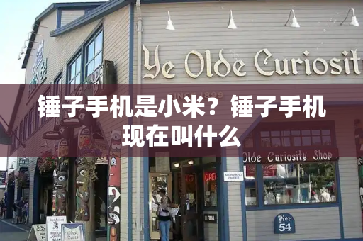 锤子手机是小米？锤子手机现在叫什么-第1张图片-星选测评
