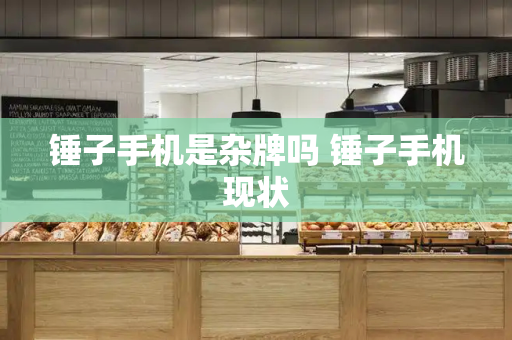 锤子手机是杂牌吗 锤子手机现状