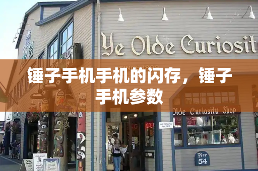 锤子手机手机的闪存，锤子手机参数