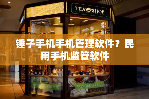 锤子手机手机管理软件？民用手机监管软件