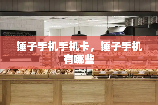 锤子手机手机卡，锤子手机有哪些