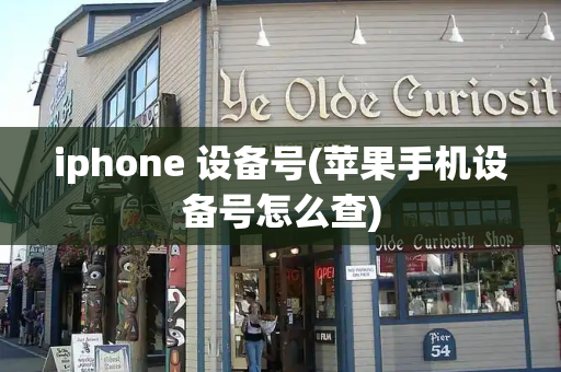 iphone 设备号(苹果手机设备号怎么查)-第1张图片-星选测评