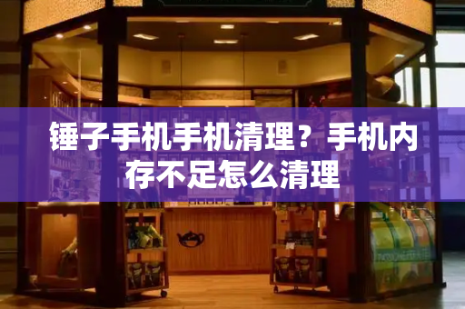 锤子手机手机清理？手机内存不足怎么清理-第1张图片-星选测评