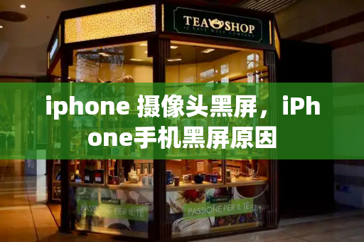 iphone 摄像头黑屏，iPhone手机黑屏原因