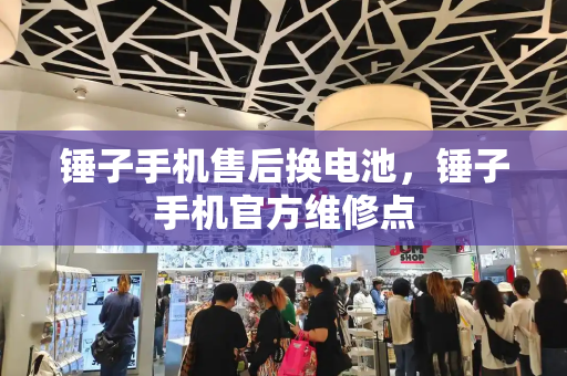 锤子手机售后换电池，锤子手机官方维修点