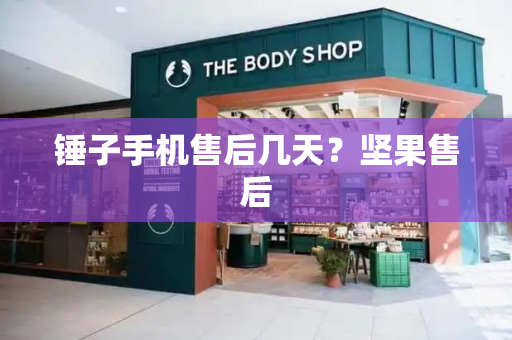 锤子手机售后几天？坚果售后-第1张图片-星选测评